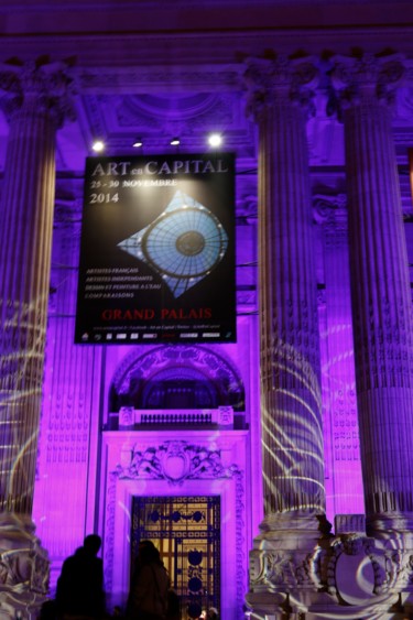 GRAND PALAIS  - PARIS- (AFFICHE ART en CAPITAL )  2014    Illuminations